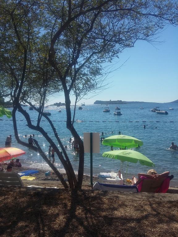 Apartmani Seka Herceg Novi Ngoại thất bức ảnh